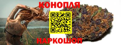 apvp Краснодар