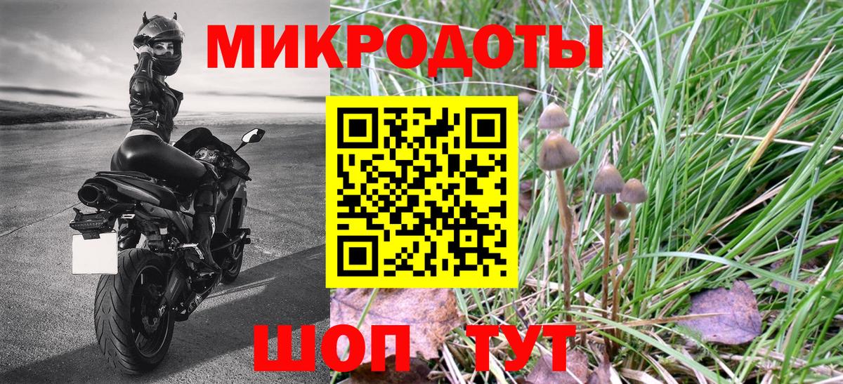 Галлюциногенные грибы прущие грибы Кемерово