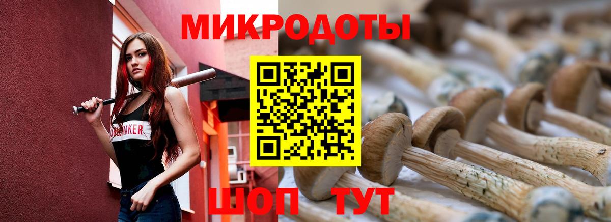 Псилоцибиновые грибы Psilocybe  Вход с VPN  Галлюциногенные грибы прущие грибы  где можно купить наркотик  Кемерово 
